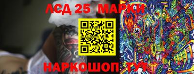 крисы Краснодар