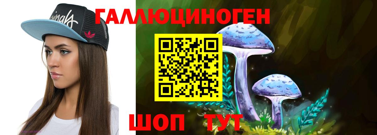Дальнереченск  Галлюциногенные грибы мухоморы  Галлюциногенные грибы прущие грибы  Вход с VPN 